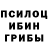Псилоцибиновые грибы мицелий Natasha Markova