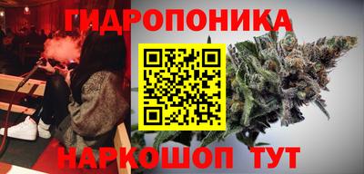 индика Наро-Фоминск