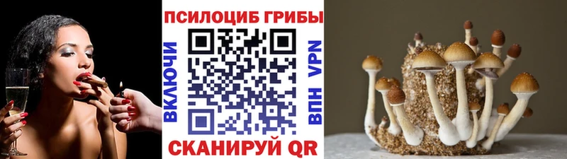 Псилоцибиновые грибы Cubensis  MEGA маркетплейс  Троицк 