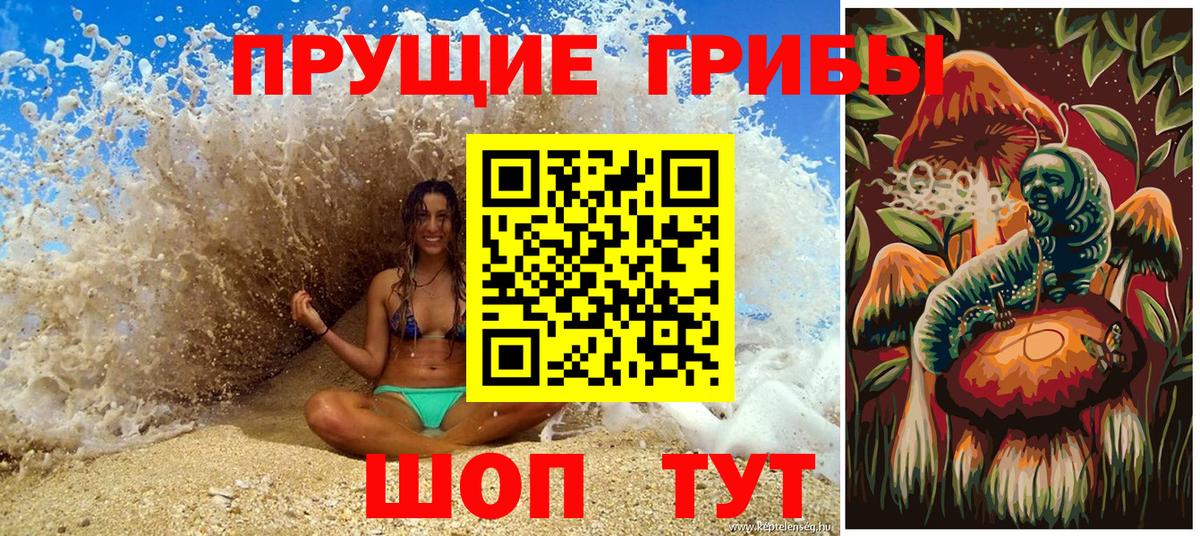 Галлюциногенные грибы MAGIC MUSHROOMS  Вход с VPN  Галлюциногенные грибы GOLDEN TEACHER  Троицк 